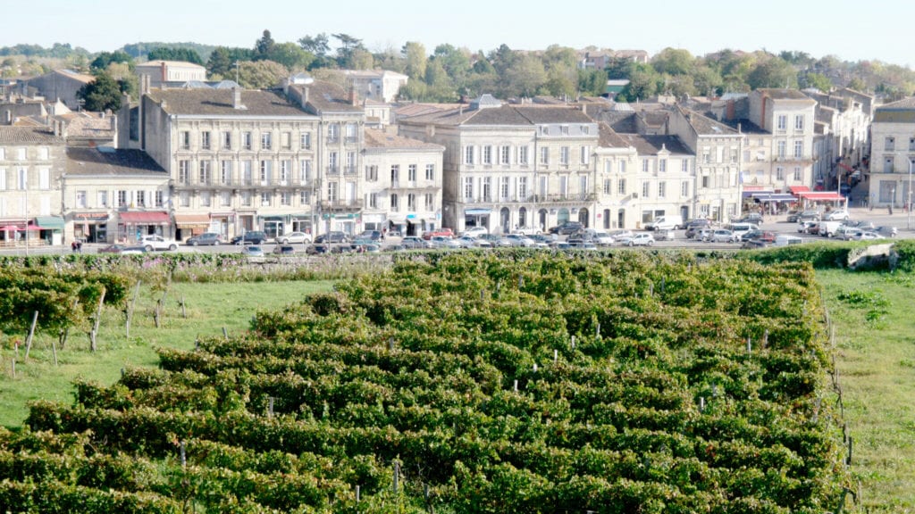 special wine vineyards in France on Viking River Cruises' wine cruise