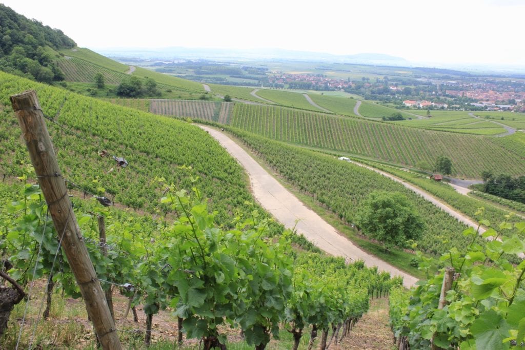 Passing through Franconian wine vineyards on Germany's Romantic Road