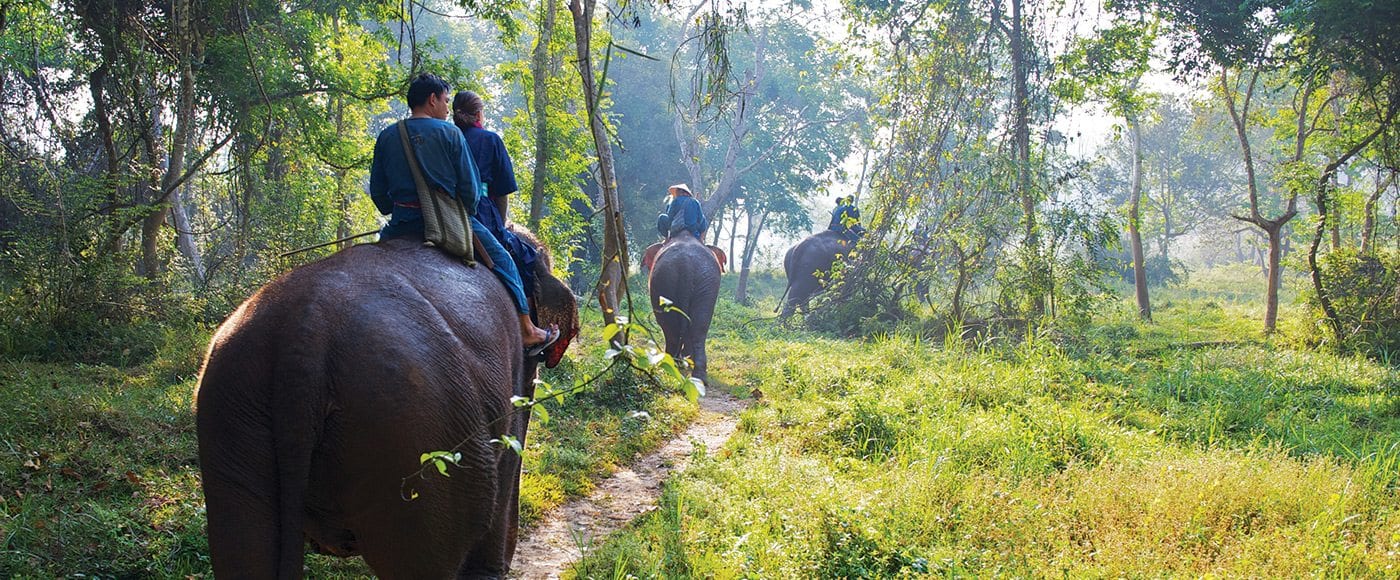 elephant riding at Four Seasons Golden Triangle Thailand