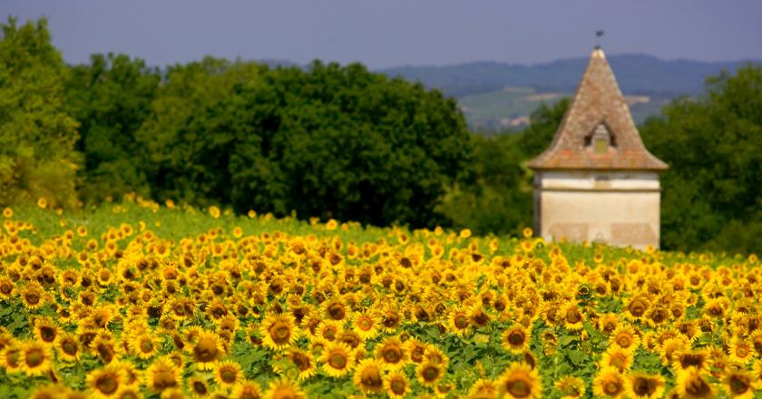 France’s Gourmand Mecca of the Galliac region and the Domaine de Perches