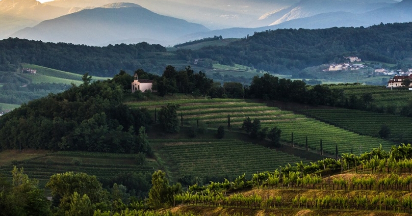 Discovering The Wine-Rich Collio Region: Italy’s Best Kept Secret ...