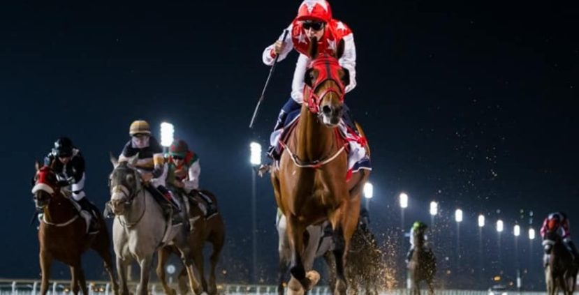 
                  How Important Is Dubai World Cup Night?