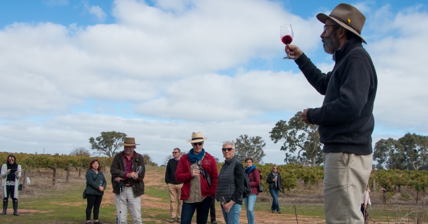 The Ultimate Barossa Valley Wine Tour,  Australia’s Oenophile Camino
