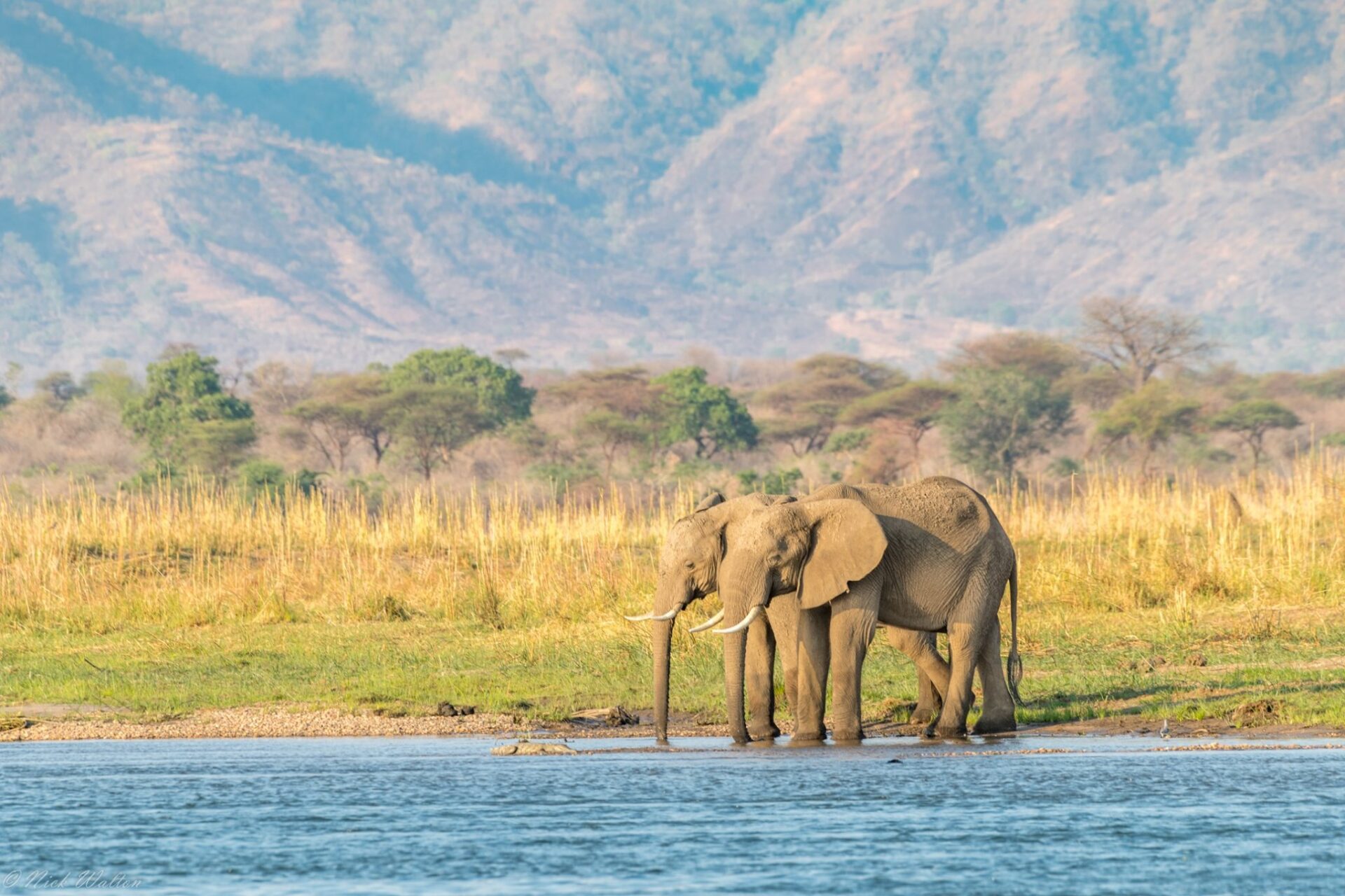 Luxury Safari in Zimbabwe Botswana