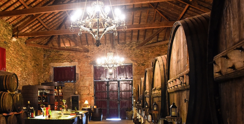 Wine Tasting along the Douro River: A Tasteful Memoir