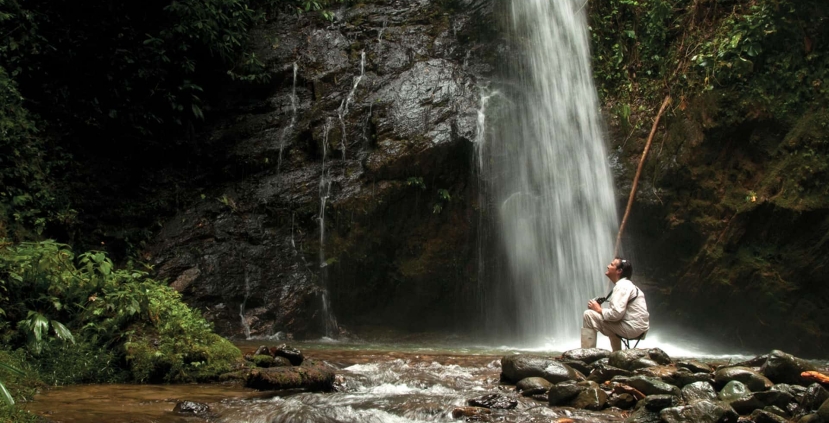 Combining Sanctuary with Science: Ecuador’s Mashpi Wellness Lodge