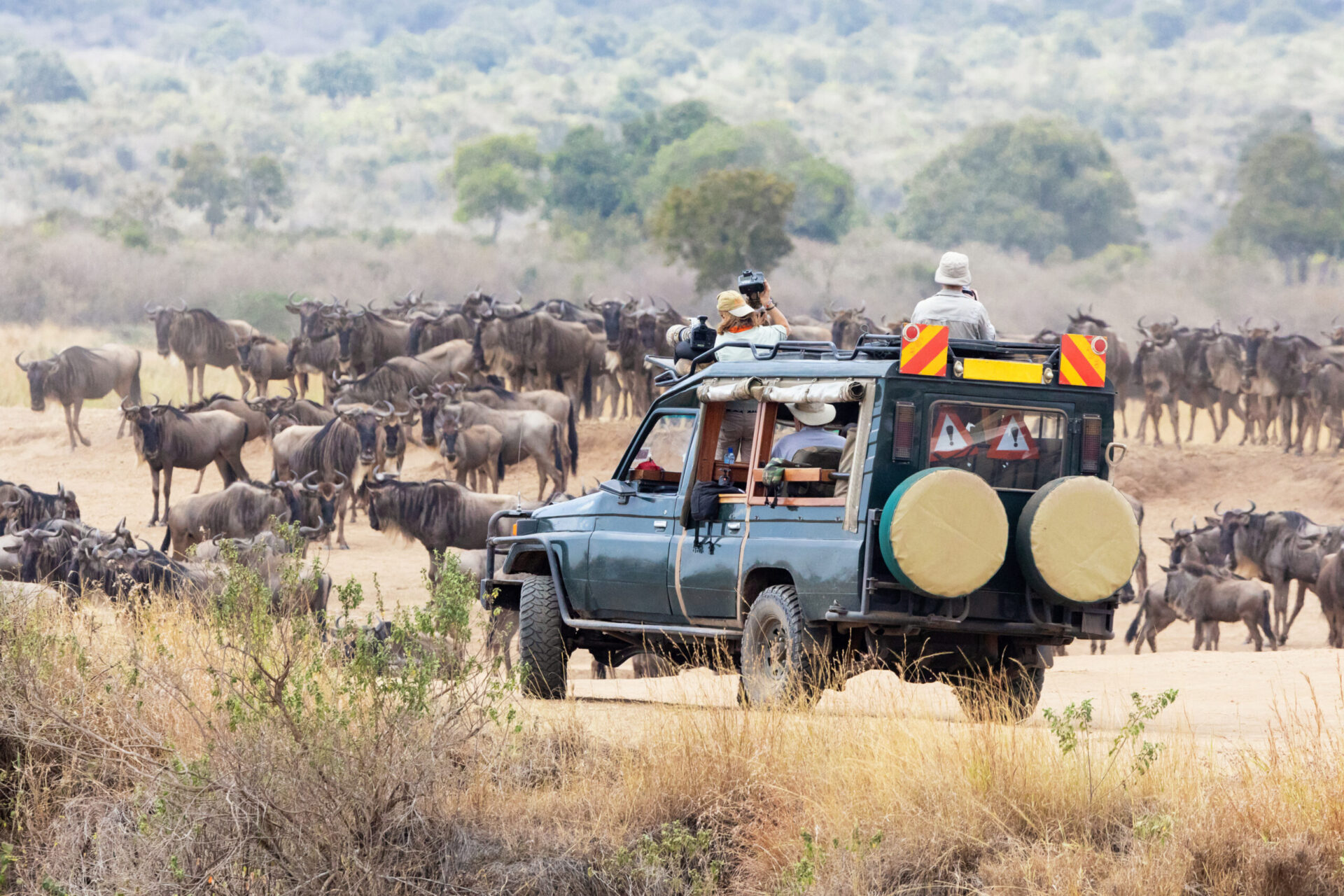 great migration safari in tanzania