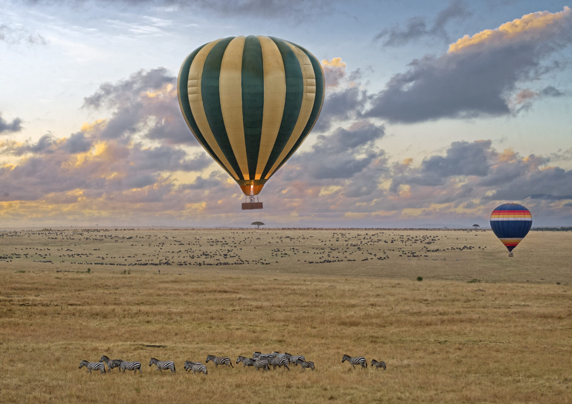 hot air balloon safari flight