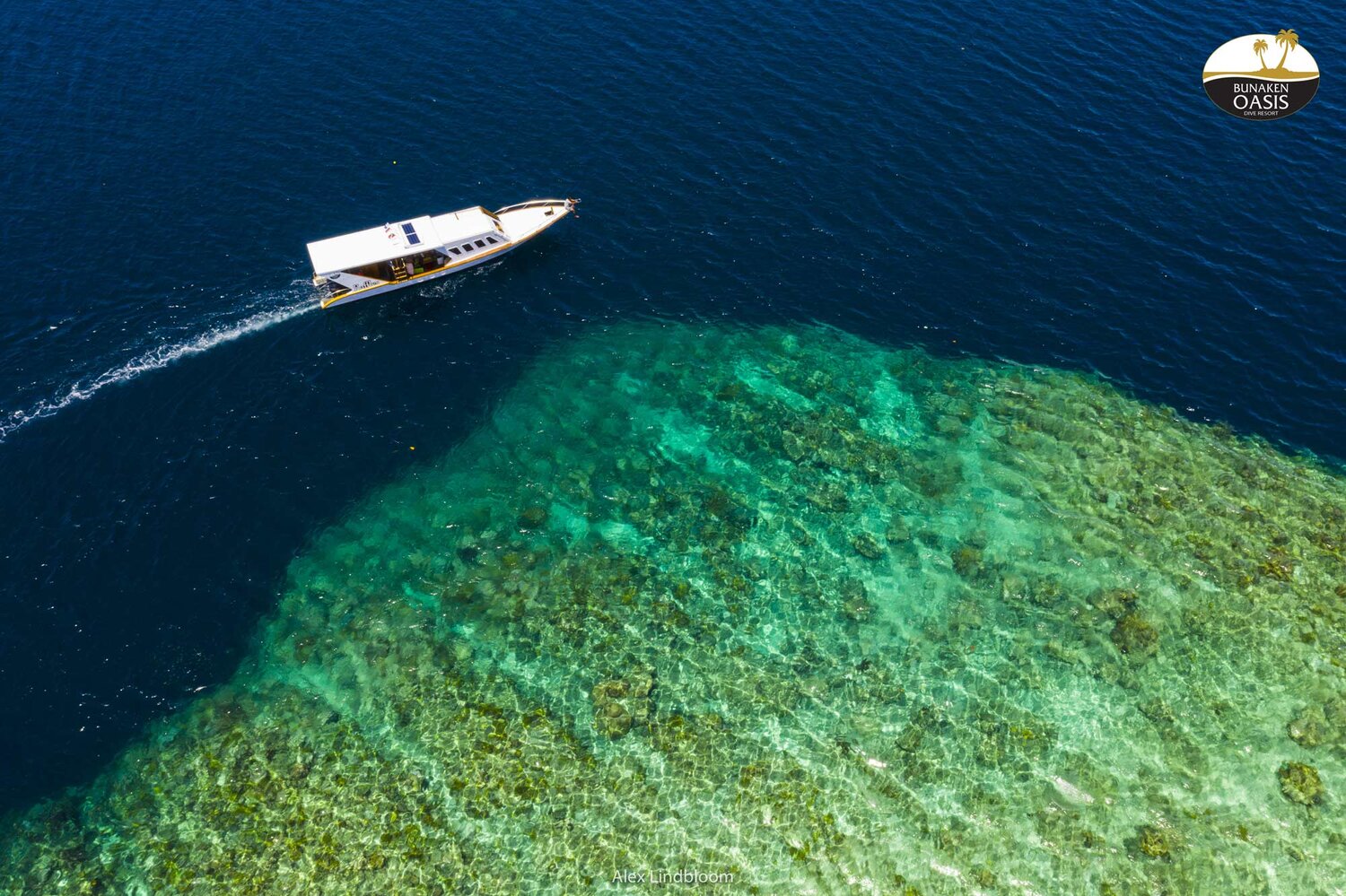 boat passing over underwater coral reef indonesia
