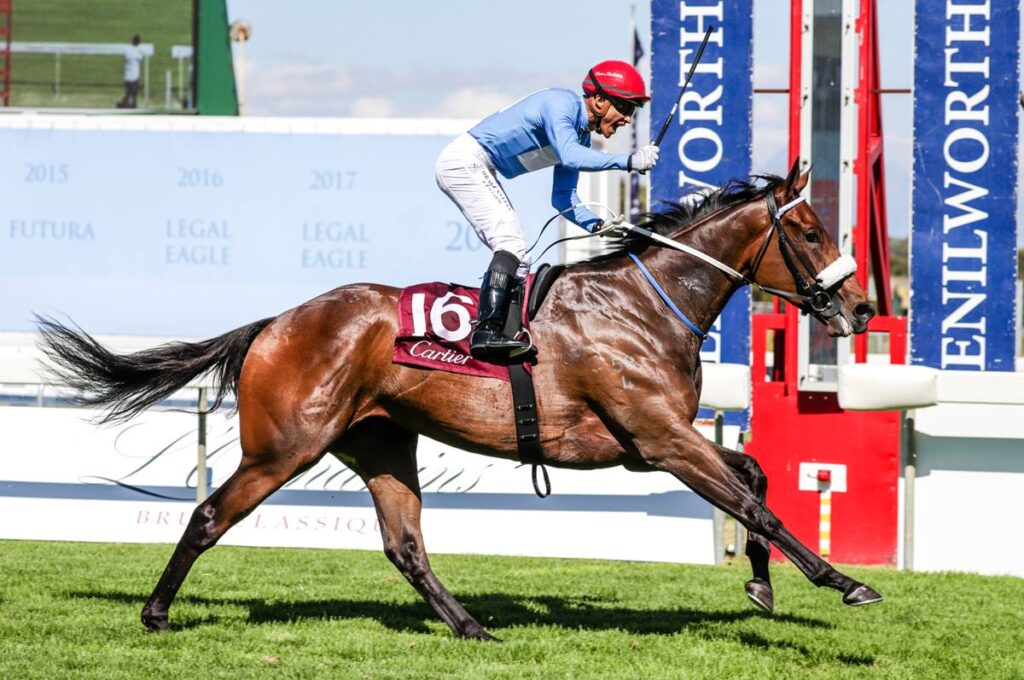 The L’Ormarins Queen’s Plate: Cape Town Horse Racing in White and Blue ...