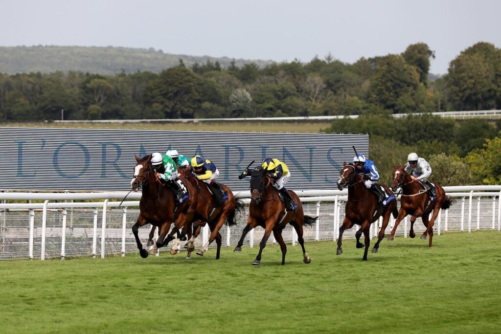 The L’Ormarins Queen’s Plate Cape Town Horse Racing in White and Blue