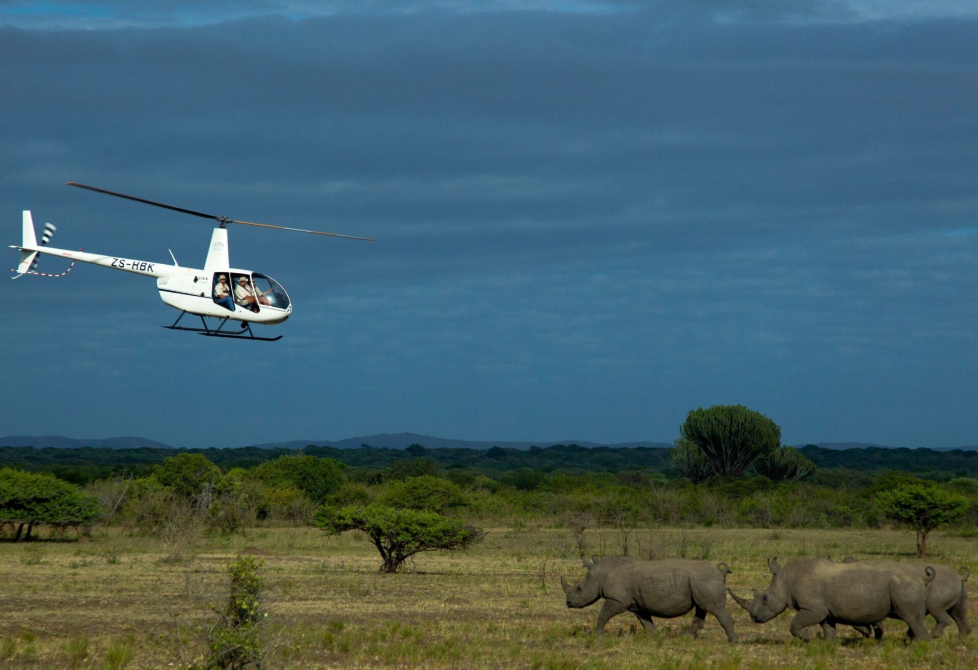 Private Jet Safari Rhinos