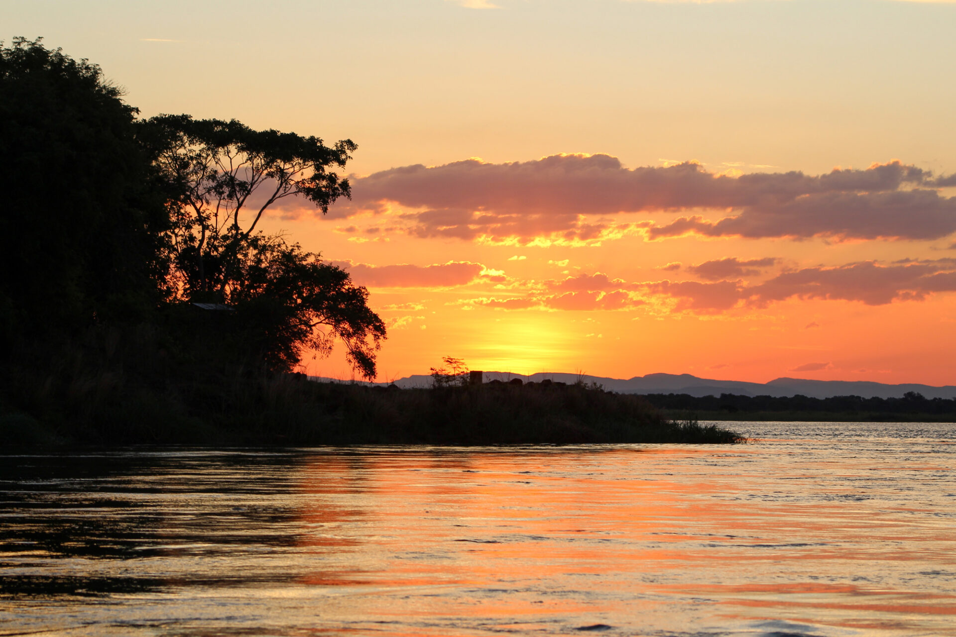 Zambezi River Zimbabwe Africa