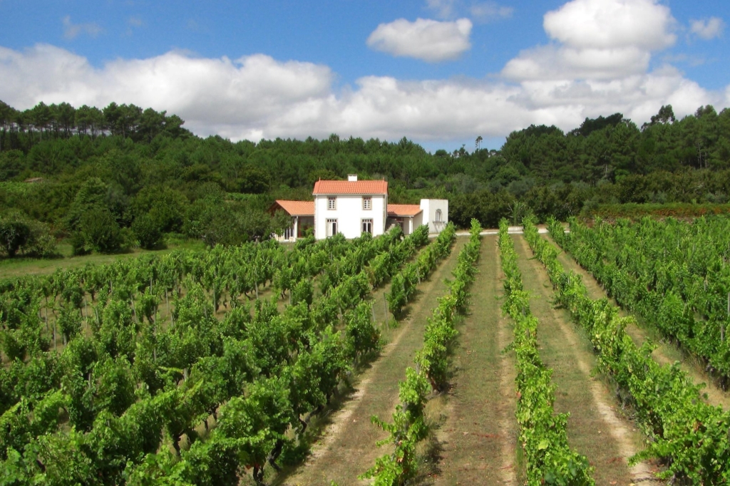 Quinta dos Roques in the Dao wine region of Portugal