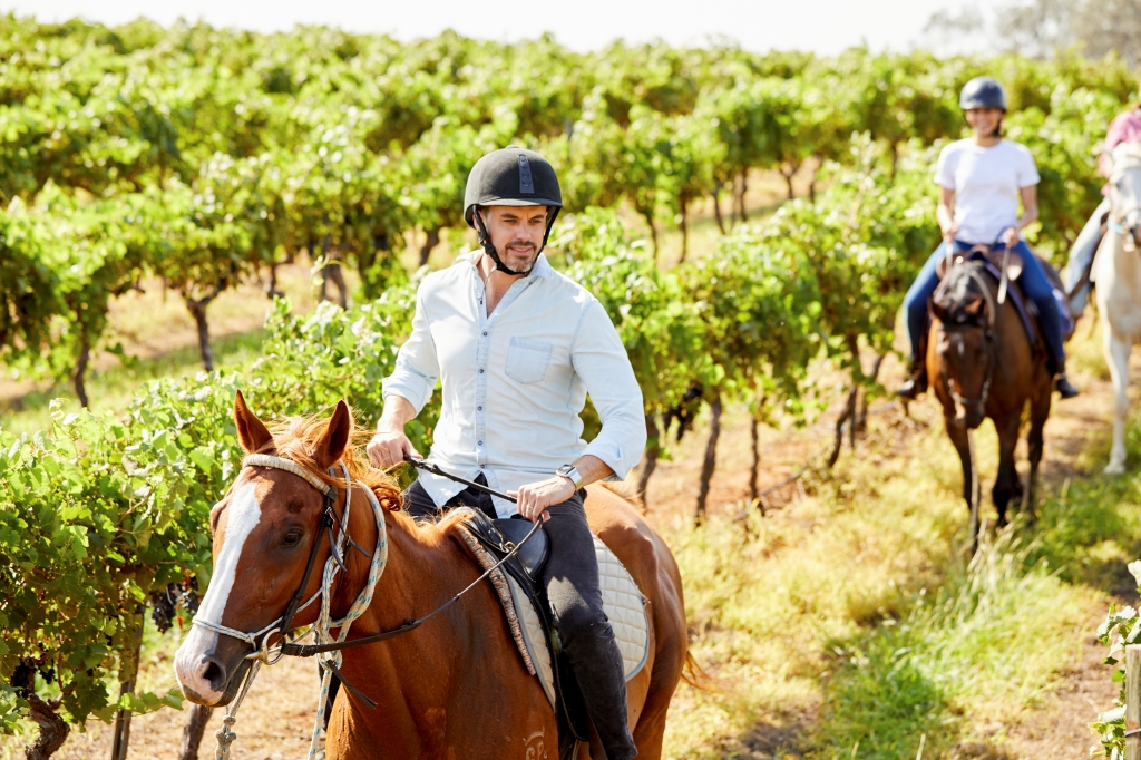 Murchessons Horseback wine experience the Hunter Valley