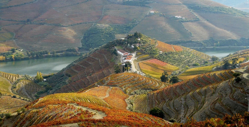 The holy grape: five must-visit wine regions of Portugal