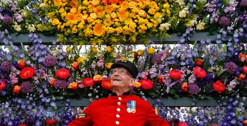 Stop and Smell the Roses: The RHS Chelsea Flower Show