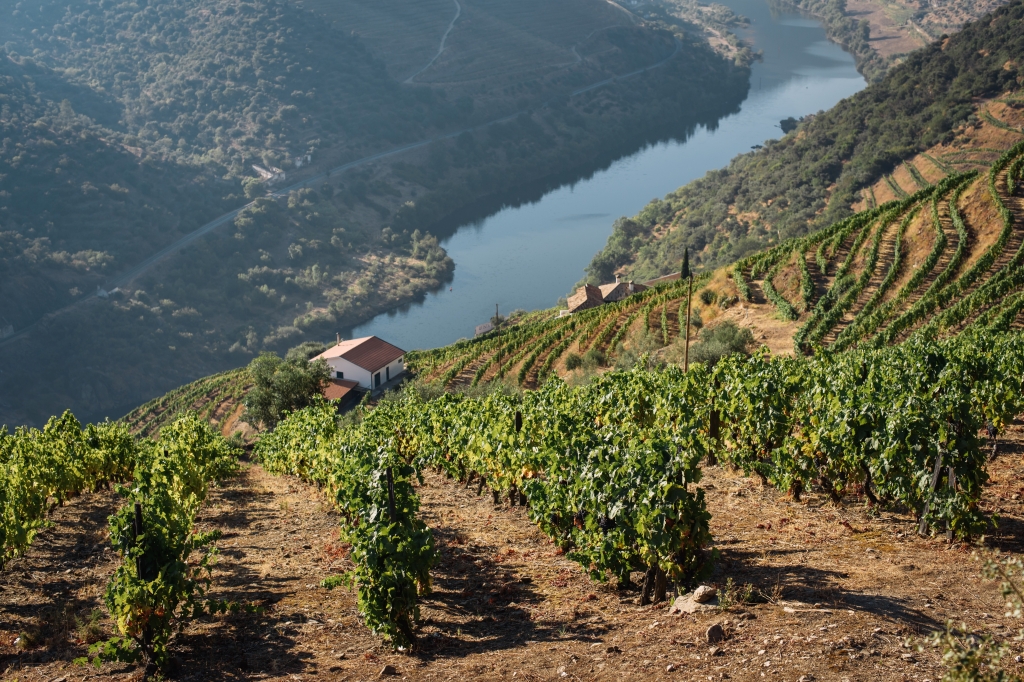 The Douro Valley Portugal