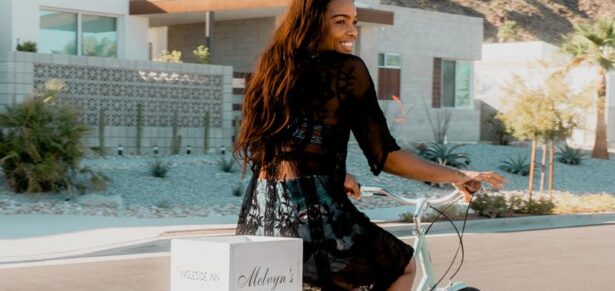 Palm Spring Guide
