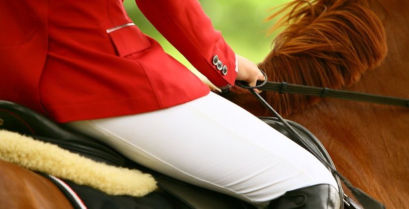 7 Top Luxury Horse Trekking Experiences in the UK
