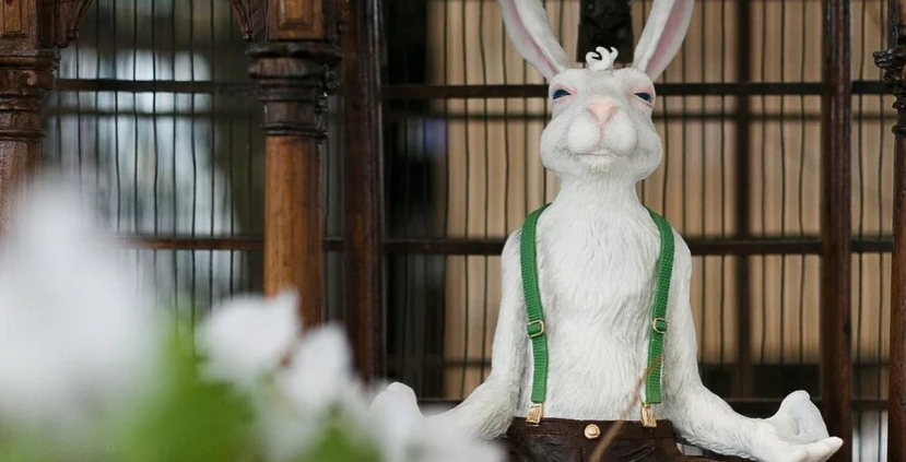 The White Rabbit Restaurant: A Journey to Wonderland
