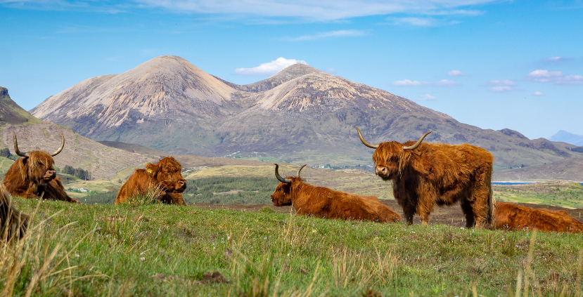 The Scottish Highlands: A Destination On The UK’s Doorstep