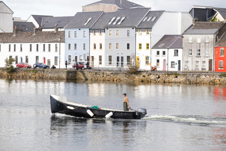 Galway International Oyster & Seafood Festival Shucking Oysters from