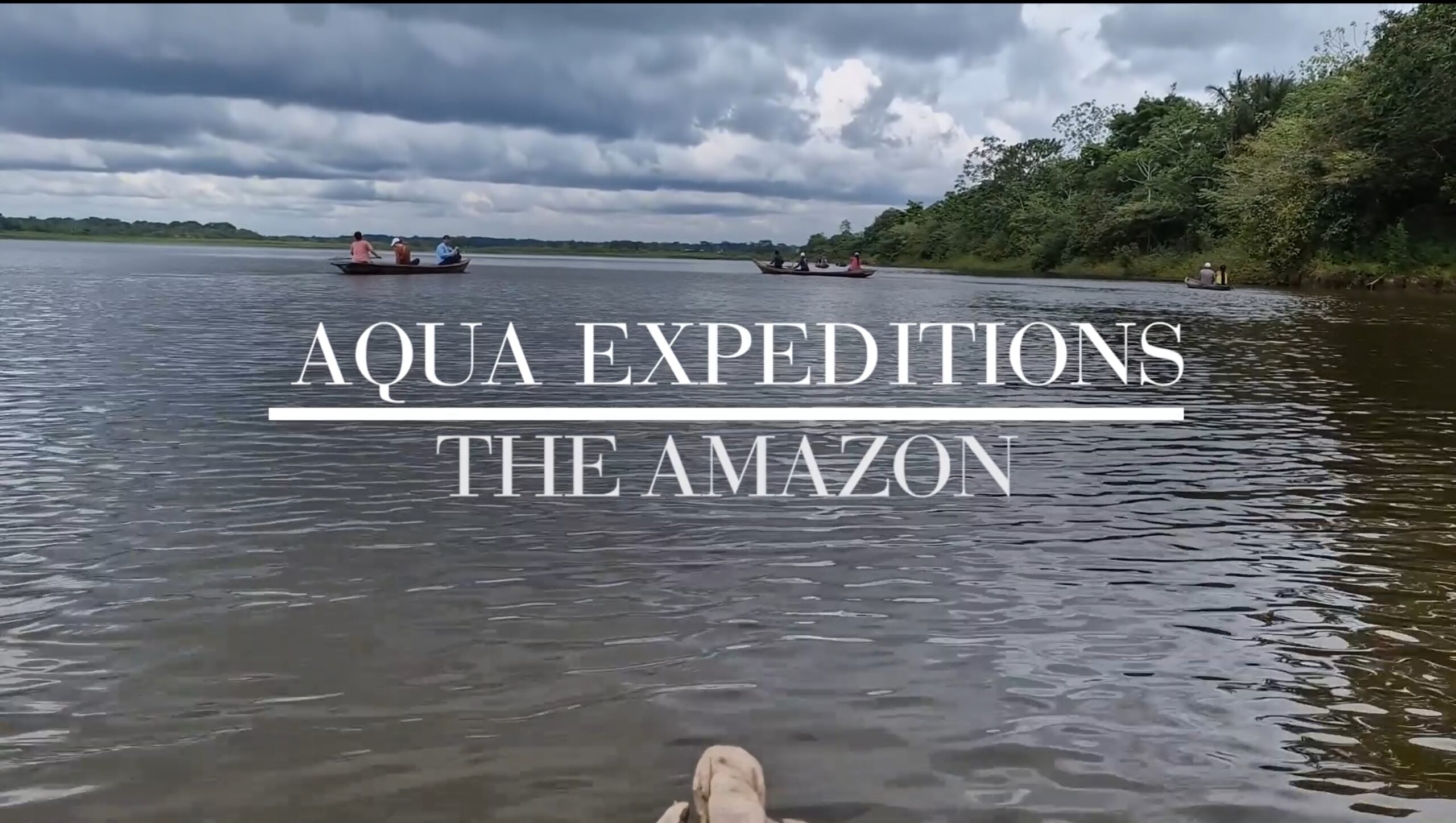 Peruvian Rainforest with Aqua Expeditions