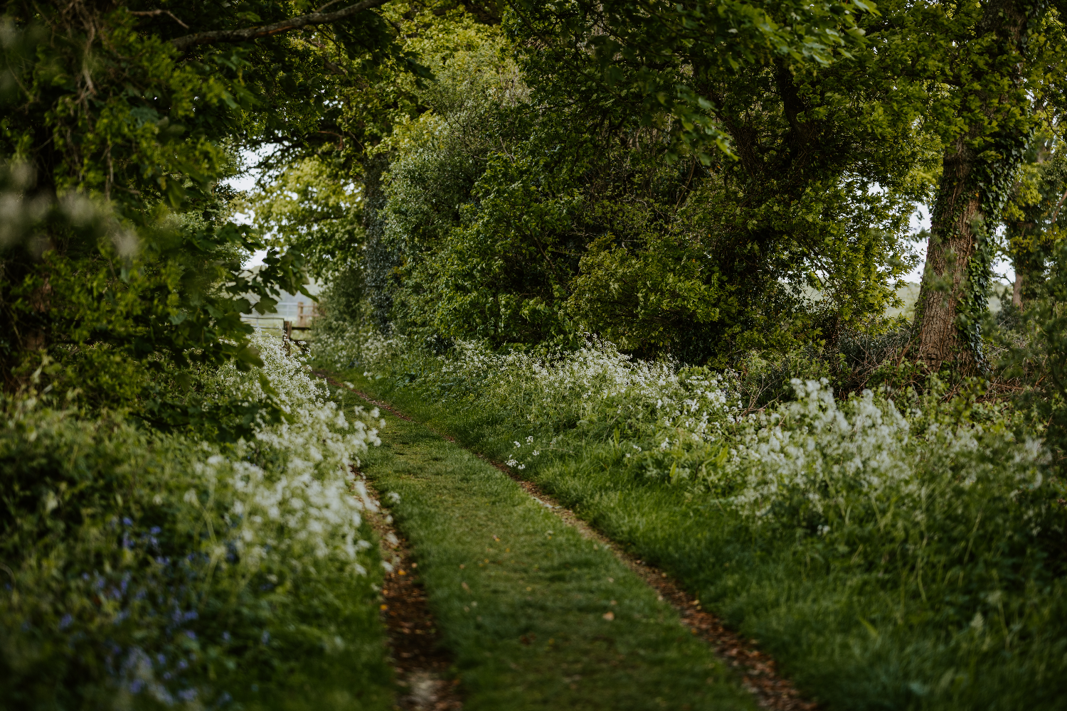 UK Countryside