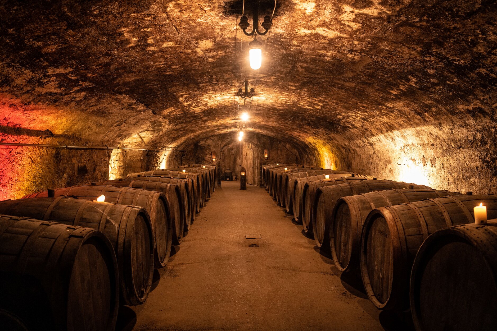 wine cellar Mosel