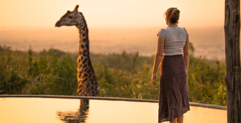 The best countries for a safari adventure this year.