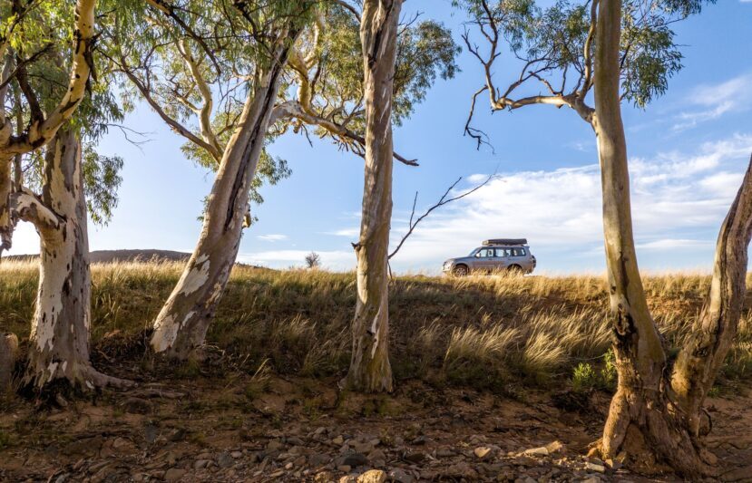 Arkaba Conservancy: Australian Ultimate Outback Experience