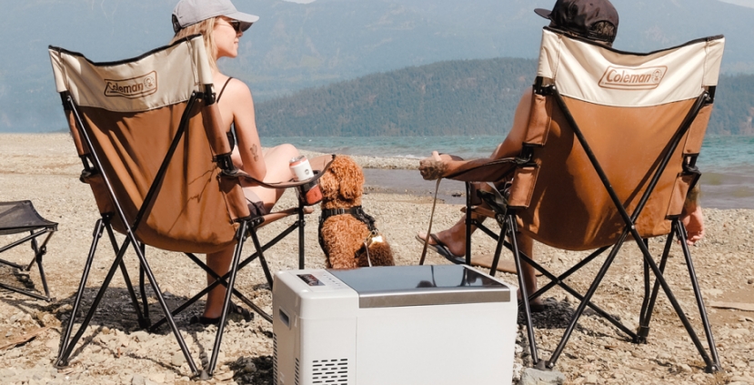 Portable Perfection: The Essential Guide to Choosing a 12V Fridge for Your Adventures