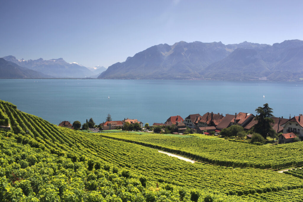 View over lake Geneva from the Lavaux vines, Vaud, Switzerland.