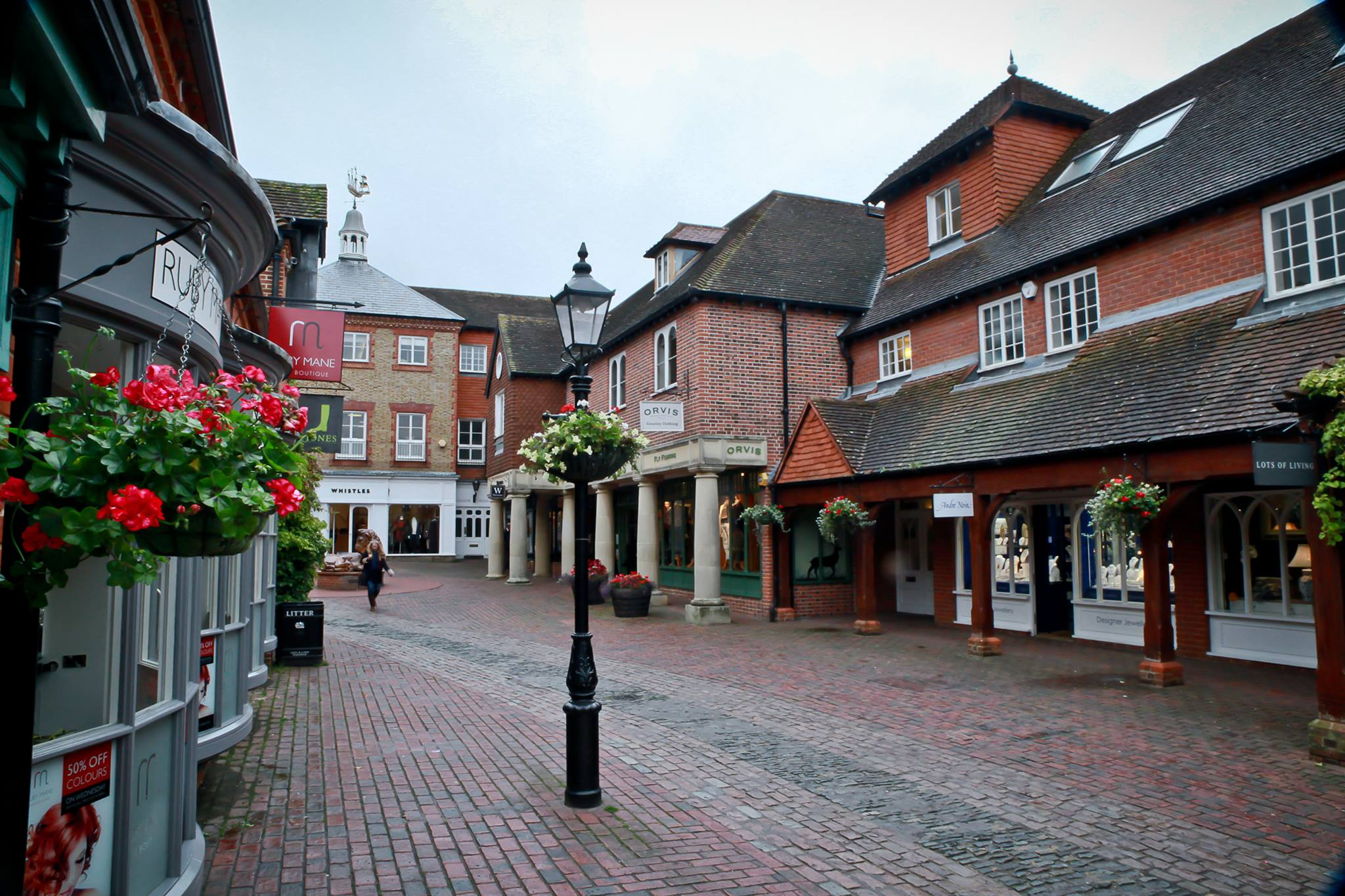 the lion and lamb farnham